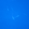 IMG_0044.JPG