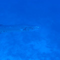 IMG_0835.JPG