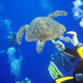 PA035946.JPG