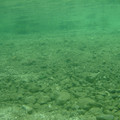 Attersee_044_1024x768.jpg