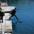 IMG_0091_1024x768.jpg