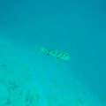 L_PA045198.jpg