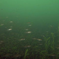 L_M0010896.jpg