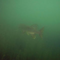 L_M0010922.jpg