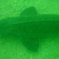 L_DSC04743.jpg