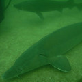 L_RIMG0229.jpg