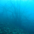 L_200610_tauchen_messinghausen_hennesee_062.jpg