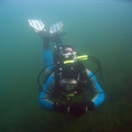 L_tauchen_elbsee_links008.jpg