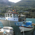 L_zakynthos_p1_60.jpg