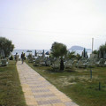 L_zakynthos_p1_71.jpg