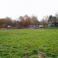 L_PB150006.jpg