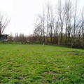 L_PB150007.jpg