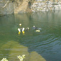 L_PIC00065.jpg