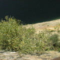 L_PIC00055.jpg